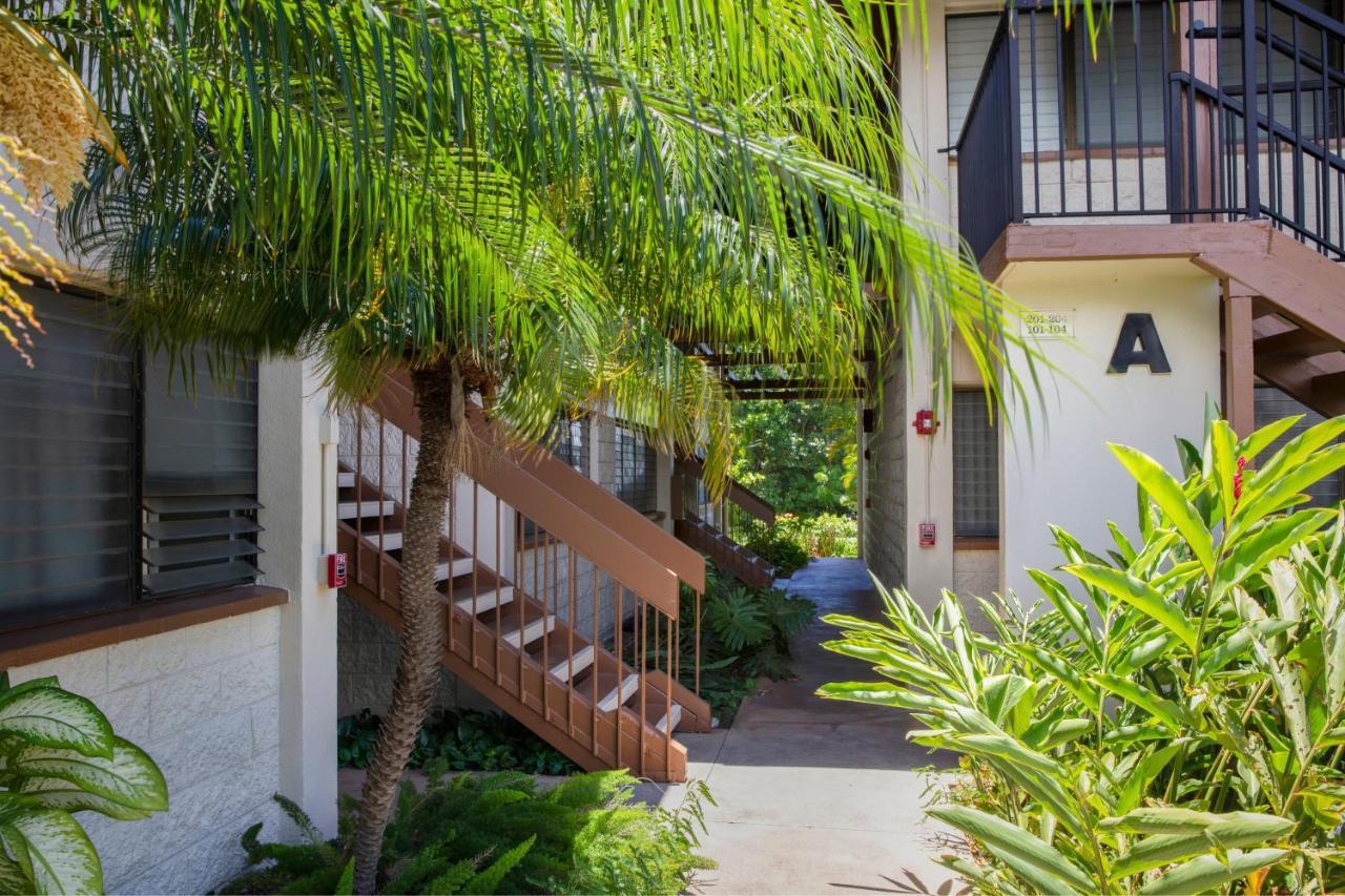 Beautiful 1 Bedroom Condo With Ocean Views | Oceanfront Kihei Eksteriør bilde