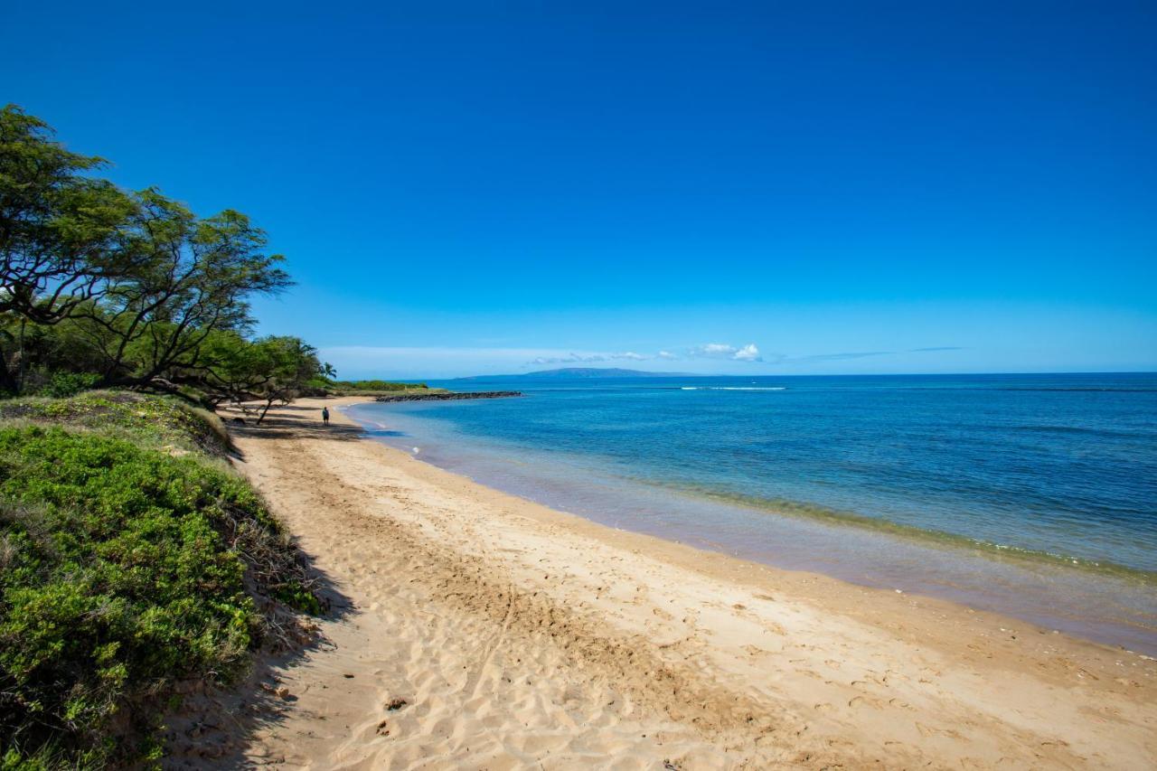 Beautiful 1 Bedroom Condo With Ocean Views | Oceanfront Kihei Eksteriør bilde